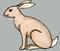 Rabbit-greywall-reverse